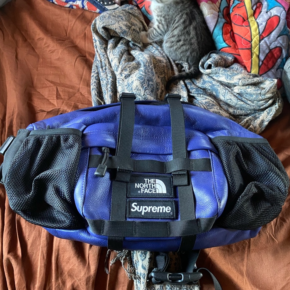 Supreme north face